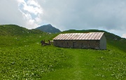 89 Alla Baita Branchino prendiamo il sent. 231 di Val Vedra
